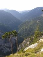 panoramic view of the valley in the alps