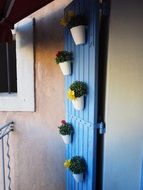 flower pots on a door as decoration