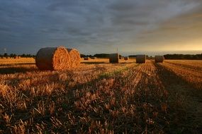 sunset above the summer straw field