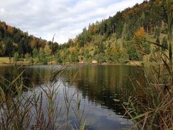 lake with reflection of green trees, austria, bad aussee