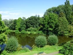 lake among green picturesque landscape on a sunny day