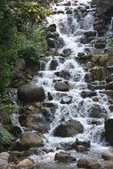 waterfall among stones in a forest close-up
