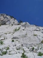 Landscape Picture of Mountain