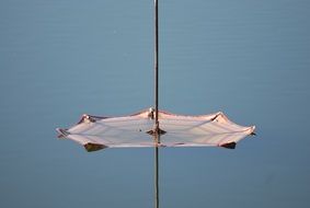 Umbrella on a water