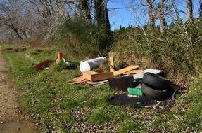 Trash in a nature