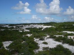 sand and grass on field