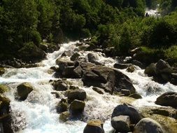 fast whitewater river in a forest