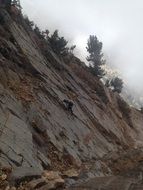 young man Climbing rock in wilderness