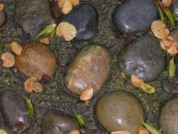 Rocks Outdoors Nature Landscape