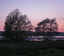 sunset behind the trees