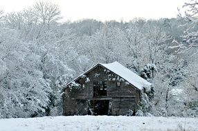 abandoned barn in winter