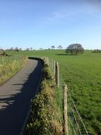 wire fence along a country road