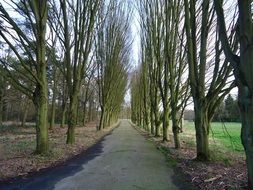 unique Landscape