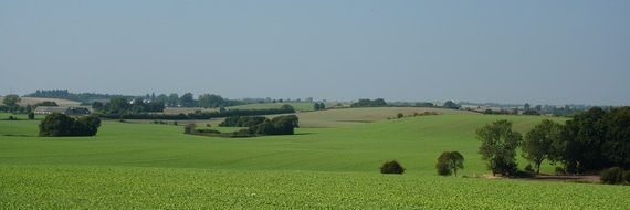 picturesque summer landscape in the haze