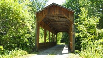 wooden bridge in the forest in vermont