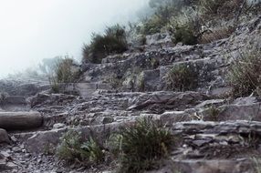 mountain trail in the clouds