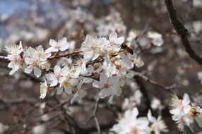 spring in crimea
