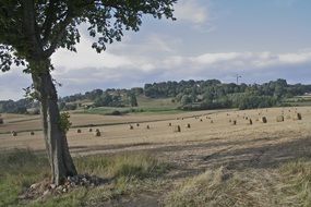 photo of a farm field in France