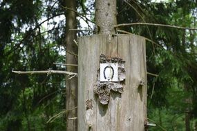 Horseshoe on the wood