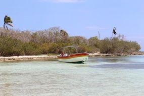 boat near the tropical coast