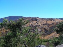 viewpoint of star saw mountain