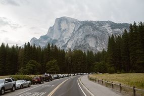 Yosemite Half