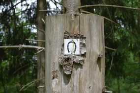 horseshoe as a sign in nature