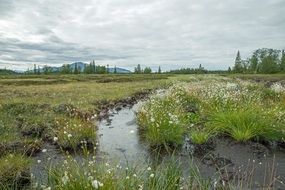 distant view of fjall in sweden