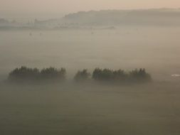 thick haze over the forest