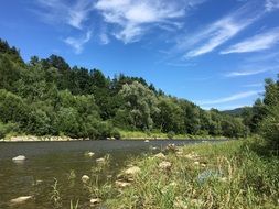 Landscape with the river near the forest in Poland