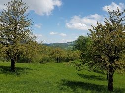 picturesque nature in the commune of eptingen