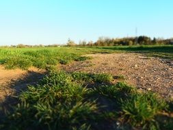 A lot of the green grass on the field on the landscape