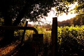 delightful Natural Landscape of fence and field