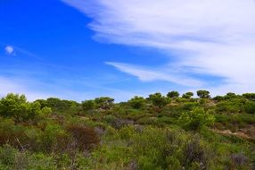 picturesque landscapes of the mediterranean