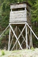 hunting tower at forest