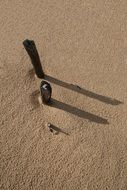 shadow from wooden sticks in a sand dune