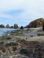 tourists on the Oregon coast