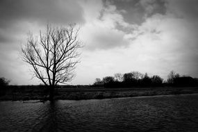 landscape of a river in black and white