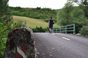 Bridge as a Road Fence