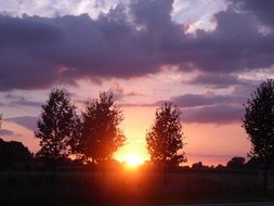 Sunset Zelhem Trees