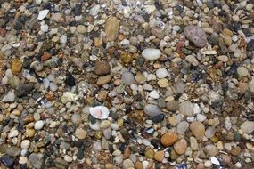 Pebbles Rocks Water Ocean