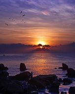 splendiferous Sea Beach