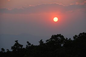 orange sun in the evening sky above the trees