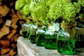 flower vases with green liquid