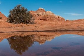 sandstone rocks in the desert