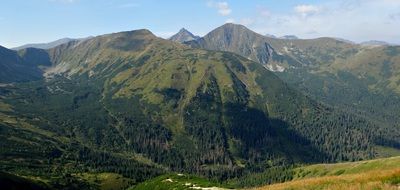 Beautiful landscape of green Tatry mountains