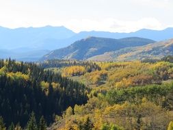 autumn forest among rocky mountains in canada