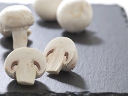 mushrooms as healthy food