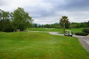 Golf field and small Cart scene