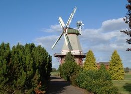 Green trees near the mill on a sunny day
